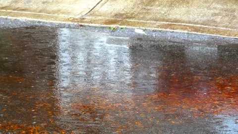 Pouring Wet Rain on Pavement Puddle Asphalt Raindrops Weather Raindrop Stock Footage 88393744