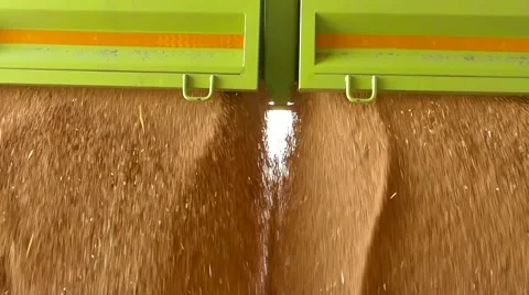 Pouring of the Wheat on a Heap Stock-Footage 65804075