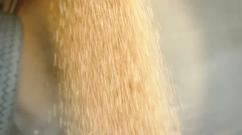 Pouring of the Wheat on a Heap Stock Footage 65804259
