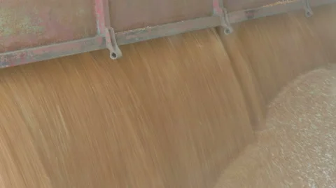 Pouring of the Wheat on a Heap Stock-Footage 65804876