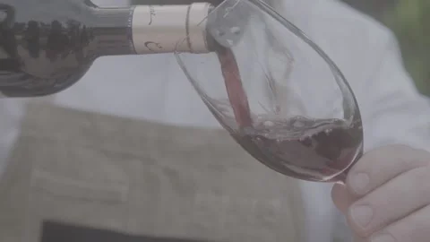 Pouring wine Stock Footage 163442499