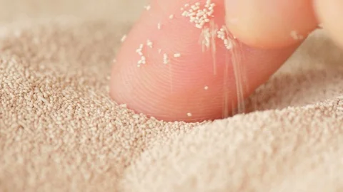 Pouring yeast between fingers dry instant yeast extreme macro Stock Footage 127714432