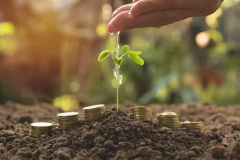 Pouring a young plant from hand with stack coins. Gardening and watering plan Stock Photos