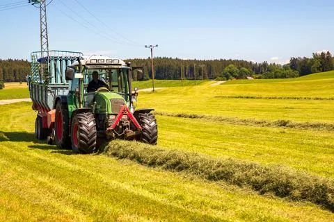 Pours silage Stock Photos