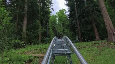 POV from an alpine coaster ride speeding down through a lush green mixed forest Stock Footage 340273284