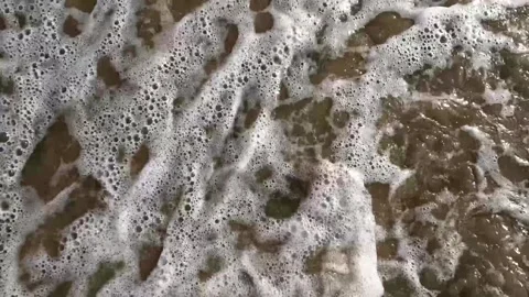 POV Bare Feet Standing In Shallow Ocean Water With Waves Washing Over Feet Vidéo 343969168