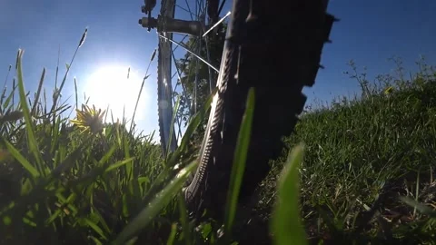 POV Bicycle Wheel In Motion At Grass Field. Ride Walk During Summer Sunny Day Stock Footage 166573545