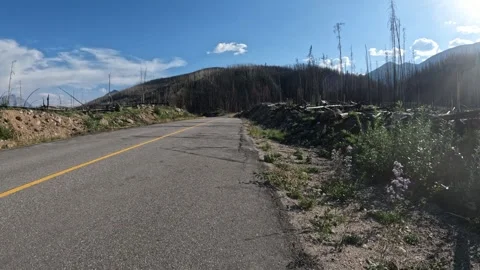POV from a bicycle while riding along a road through a burnt forest from a fores Stock Footage 316328920