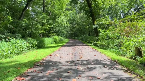 POV BikeTrail Stock Footage 208131744