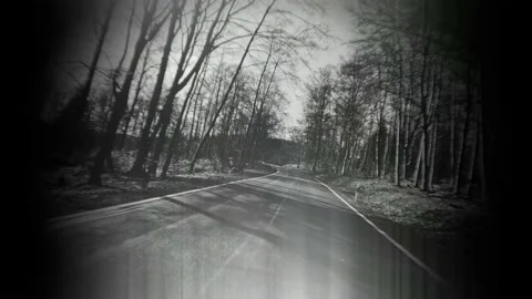 POV black &amp; white old camera fx color grading effect driving at sunny spring  Stock Footage 239252548