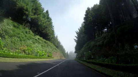 POV On-board-camera on a road with mist in Madeira Stock Footage 53345470