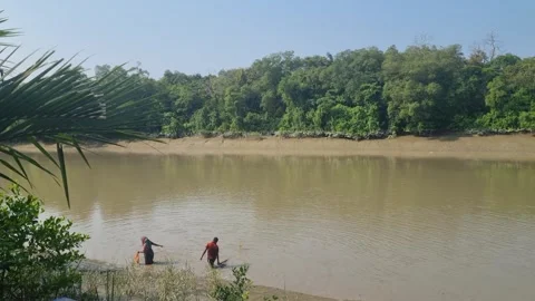POV from a boat moving through a river in the Sundarbans, revealing muddy Vídeo Stock 337976684