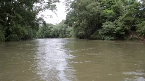 POV of a boat on a River Stock Footage 47155995