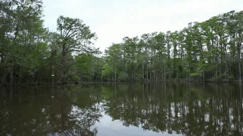POV Boat Shot Stock Footage 11885014