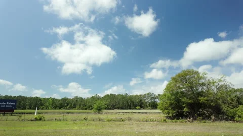 POV of bright spring forest filmed from a moving car, showing colorful Vídeos de archivo 326182955