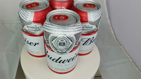 POV of Budweiser beers. Stock Footage 146676720