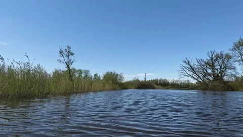POV from a canoe close to the water on a stream under a blue sky  Stock Footage 231575269