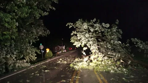POV Car approaching tree in road during storm Stock Footage 252134297