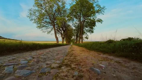 POV car driving down cobblestone road surrounded by countryside at sunset Stock Footage 316311876