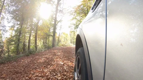 POV Car driving through a fall forest in sunshine Stock Footage 118545420