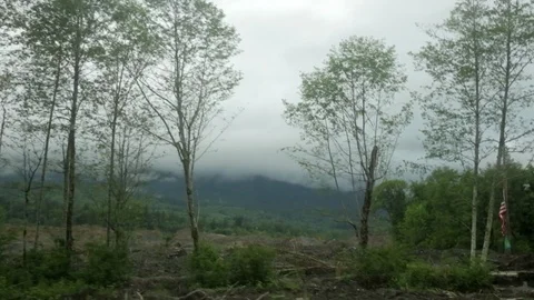POV from car passing clear cut forest area in mountains. Stock Footage 86757766