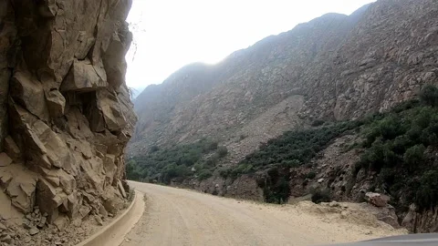POV in the car seeing an eagle perched on a rock at the side of the road and tak Stock Footage 198798494