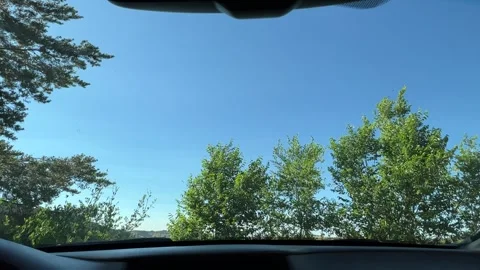 POV from Car View of Tree Against Blue Sky, Prescott Arizona Stock Footage 244507616