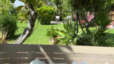 POV carrying laundry basket through garden Stock Footage 342822190