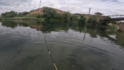 POV Casting for Wild Trout Stock-Footage 344091388