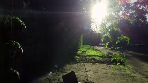POV, chasing, running away, escaping, hiding in forest, nature Stock Footage 256450775