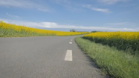 POV: close view along lines on the road. Stock Footage 108406242