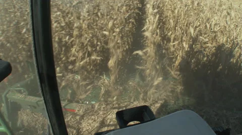 POV of corn combine from within the cab as the end of rows is reached, 4K. Stock Footage 68826911