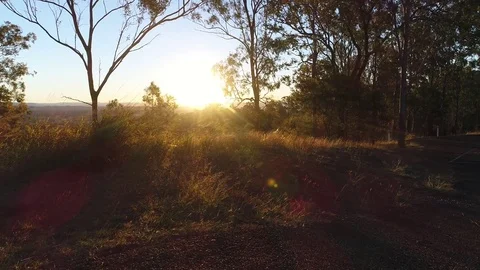 POV Crawlng Through Grass Looking at Sunset Stock Footage 78230955