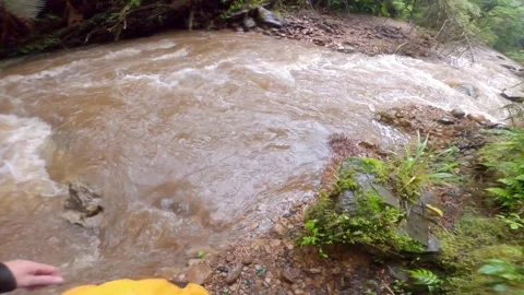 POV crossing fast moving flooded creek, West Coast, New Zealand, 2.7K Stock Footage 247105643