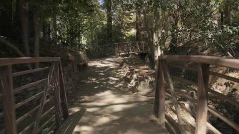 POV Crossing the Small Bridge Backwards Stock Footage 319350933