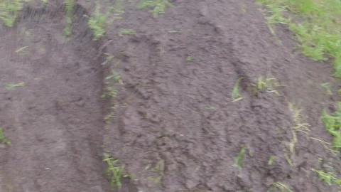 POV digging hole in the rain Stock Footage 252354689