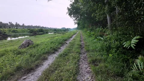 Pov dirt path along river through tropical forest 스톡 동영상 329351747