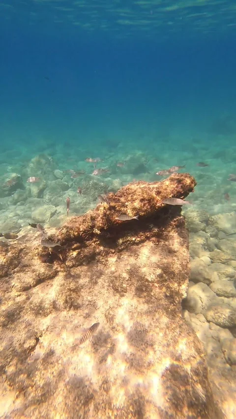POV Diving in the Clear Waters of Antisamos Beach Kefalonia Greece Stock-Footage 347365620