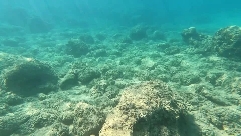 POV Diving in the Clear Waters of Kanali Beach Kefalonia Greece Stock Footage 345403579