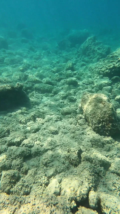 POV Diving in the Clear Waters of Kanali Beach Kefalonia Greece Stock Footage 345403592