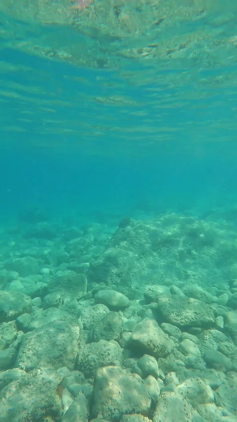 POV Diving in the Clear Waters of Koroni Beach Kefalonia Greece Stock Footage 345330271