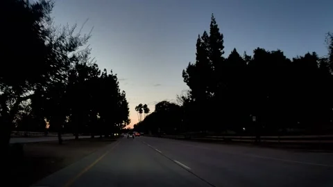 POV drive on a flat highway with palm trees at dusk, Los Angeles Stock Footage 344010951