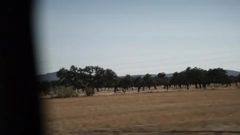 POV Drive Inside Car Through Spain. Vídeo Stock 306770682