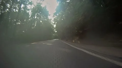 POV - drive on road through forest Stock-Footage 8654196