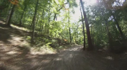POV - drive on road through forest Stock-Footage 8796815