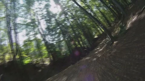 POV - drive on road through forest Stock-Footage 8797005