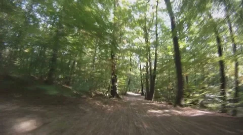 POV - drive on road through forest Stock-Footage 8797251