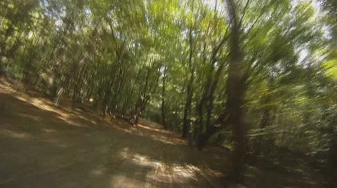POV - drive on road through forest 스톡 동영상 8797748