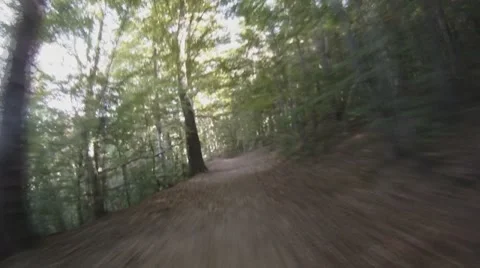 POV - drive on road through forest Stock-Footage 8798538