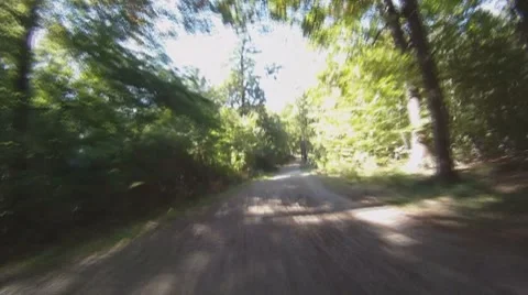 POV - drive on road through forest Stock-Footage 8803820